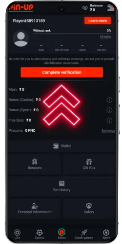 Pin Up APK account verification
